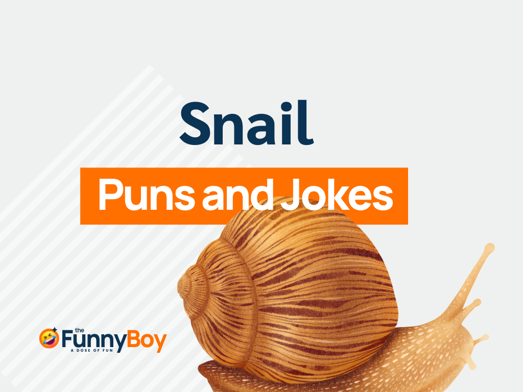 101+ Funny Snail Puns to Bring Smile on Your Face!