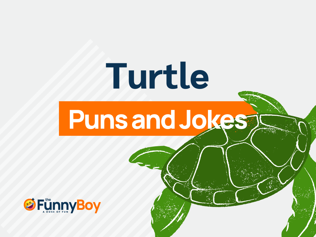 129+ Turtle Puns That'll Brighten Your Mood Instantly!