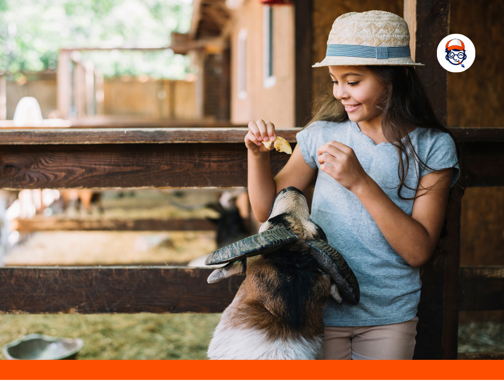 Volunteer Your Kid at An Animal Shelter Volunteer Your Kid At An Animal Shelter