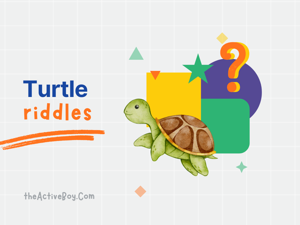 Turtle Riddles