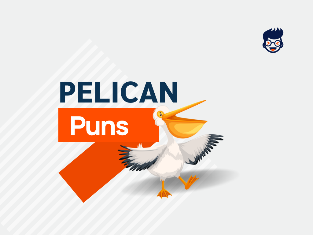 111 Hilarious Pelican Puns That Will Leave You Wonder