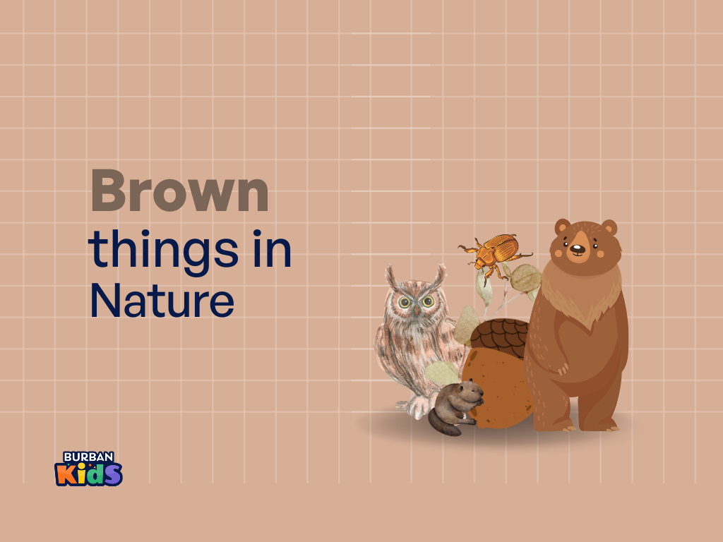 133+ Brown Things in Nature Where simplicity meets significance!