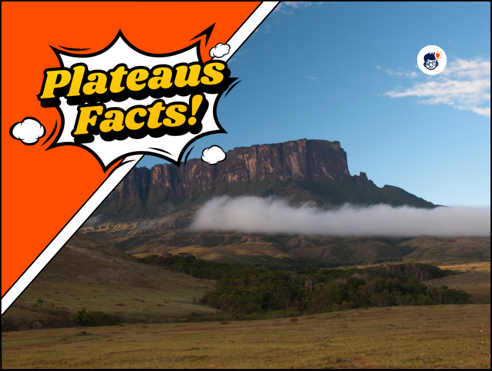 8 Unbelievable Facts About Plateau 