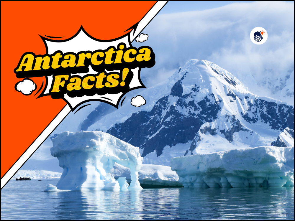 33 Antarctica Facts That'll Freeze Your Brain! (Free Printables)