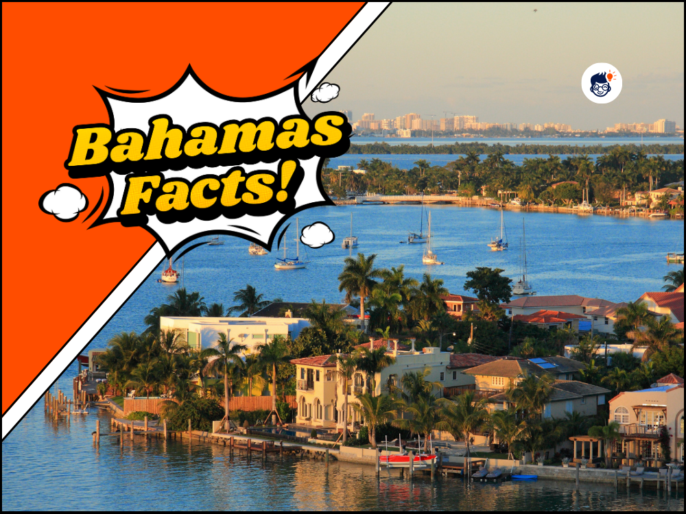 20 Amazing Bahamas Facts That Will Make You Fall In Love