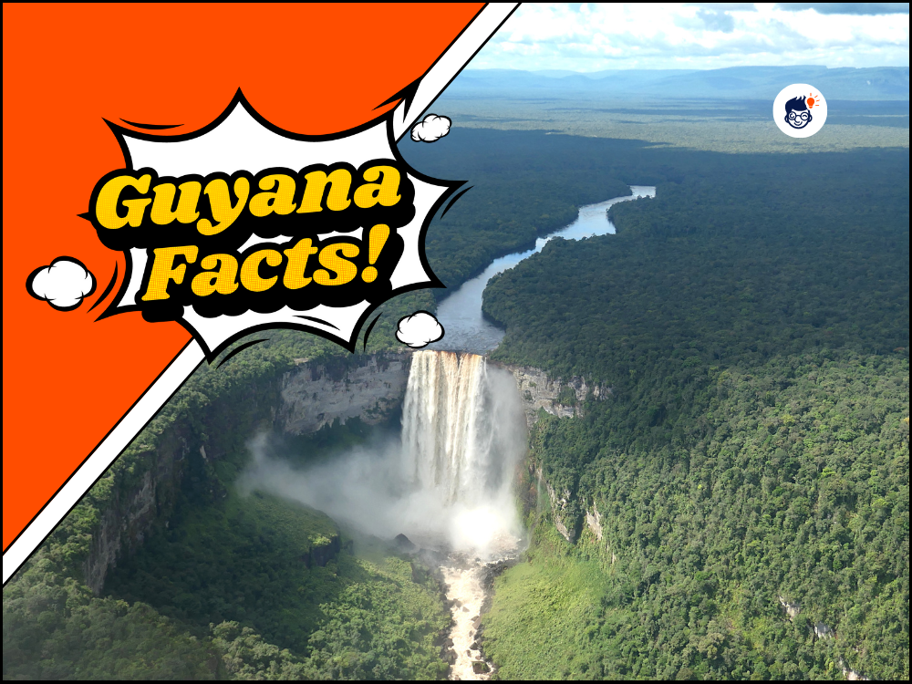 16 Guyana Facts: Discovering the Land of Many Waters