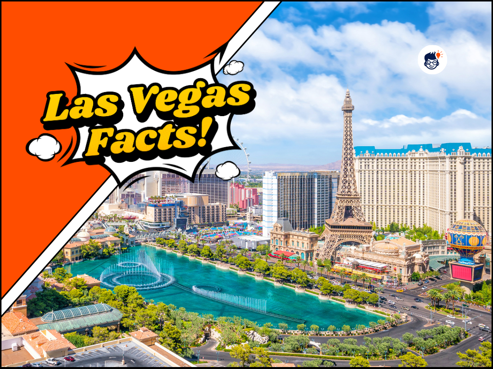 29 Jaw-Dropping Las Vegas Facts You Never Knew