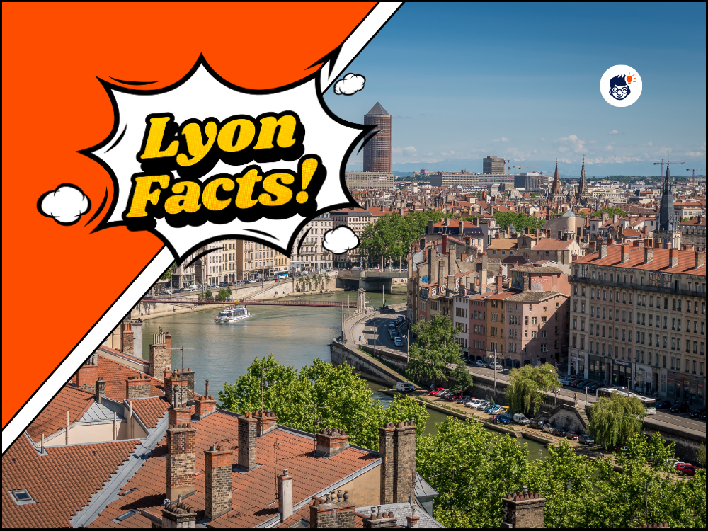 Lyon Facts