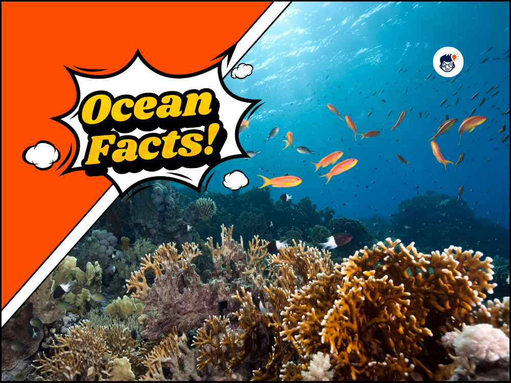 top 10 ocean facts