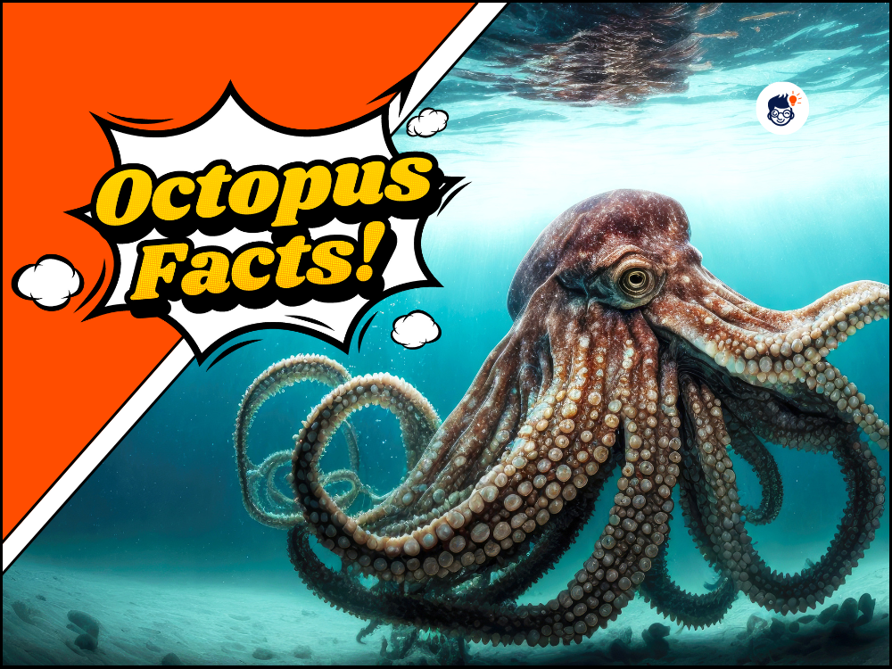 20+ Best Octopus Facts That Will Leave You Tentacle-Twisted!