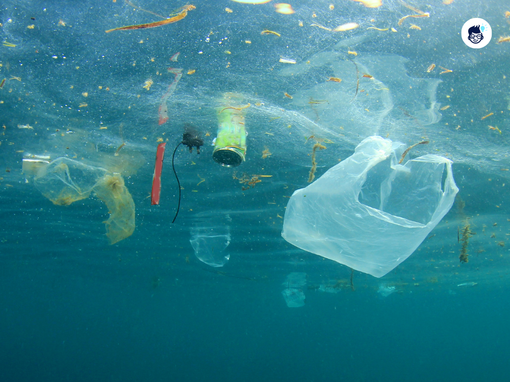 Plastic Waste Is A Big Reason Plastic Waste Is A Big Reason