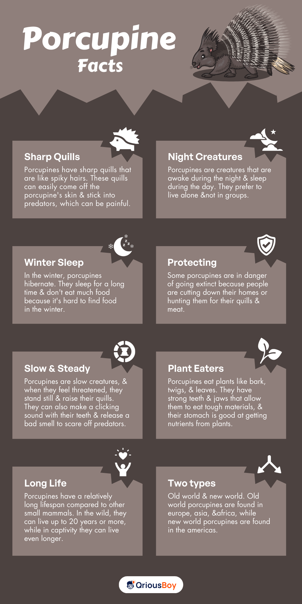 Porcupine Facts Porcupine Facts
