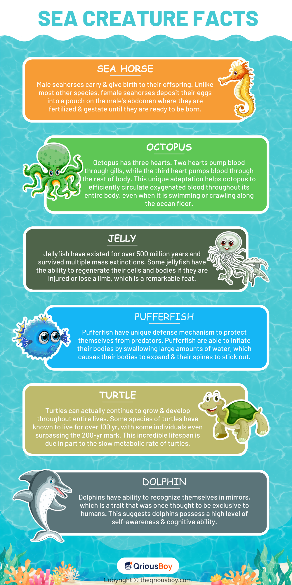 Sea Creature Facts Sea Creature Facts