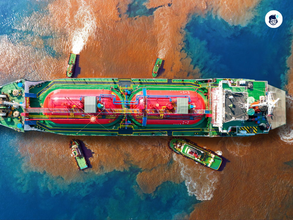 Ships May Harm Marine Life Ships May Harm Marine Life