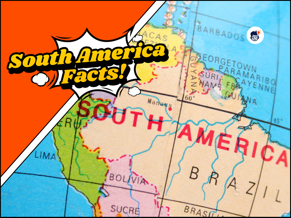 40-south-america-facts-the-land-of-diversity