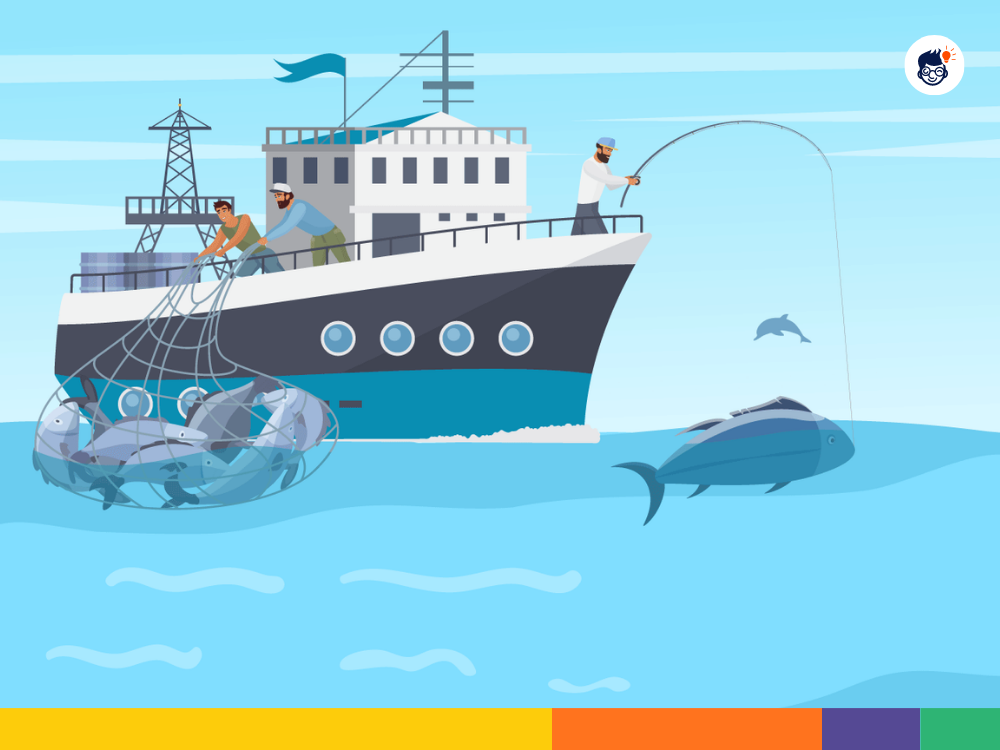 Southern Ocean Economy Southern Ocean Economy
