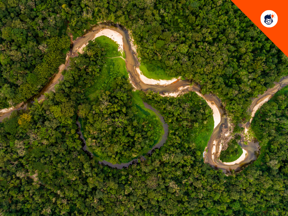 The Amazon Rainforest The Amazon Rainforest
