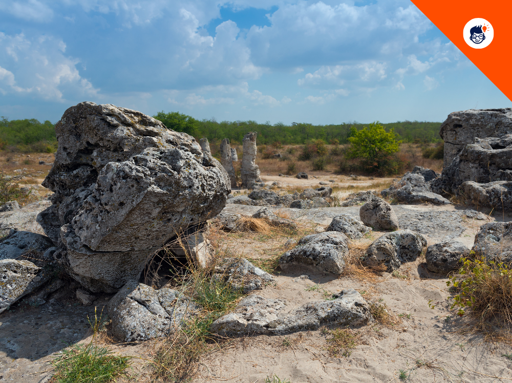 The Stone Forest The Stone Forest