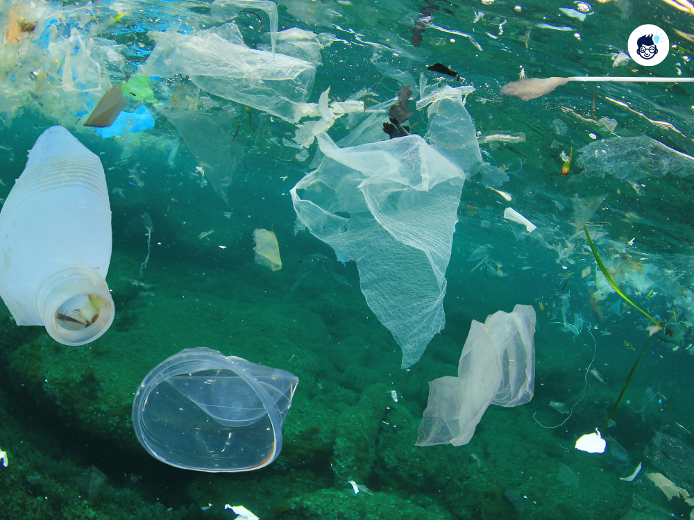 There Are Five Great Garbage Patches There Are Five Great Garbage Patches
