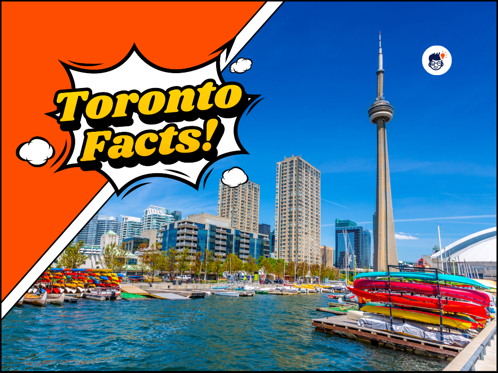 16 Amazing Toronto Facts: Experience The Magic Of Cultural Hub