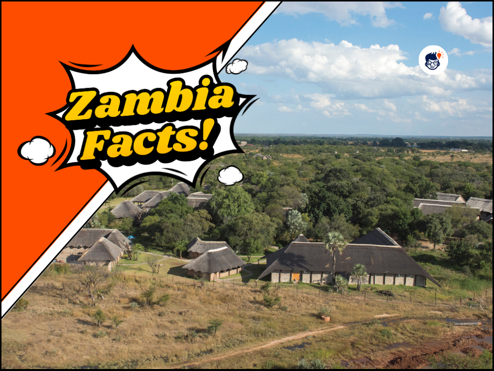 19 Amazing Zambia Facts that Everyone Should Know