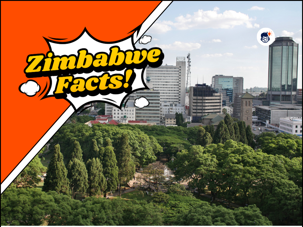 What Are Interesting Facts About Zimbabwe at Adrian Reyes blog