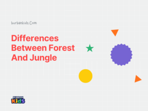 Differences Between Forest And Jungle
