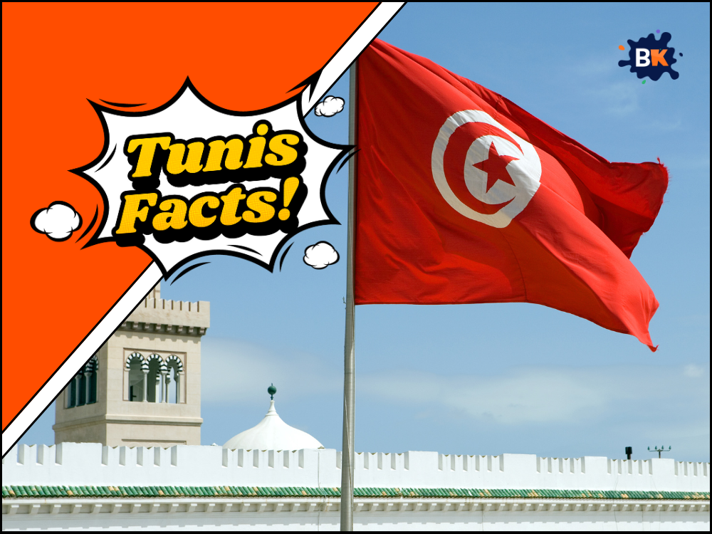 Tunis facts