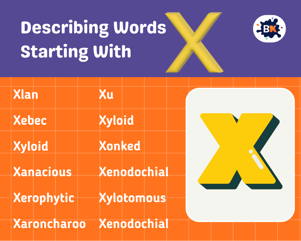 Describing Words Starting with X