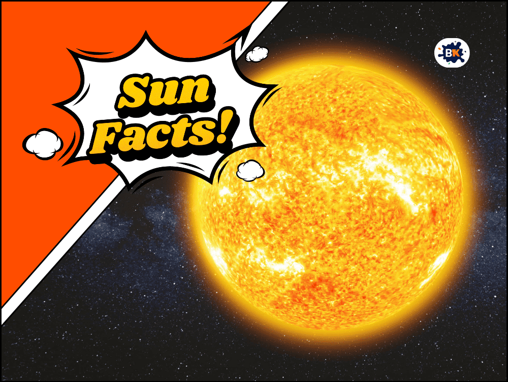 35+ Sun Facts: Exploring the Heart of our Solar System