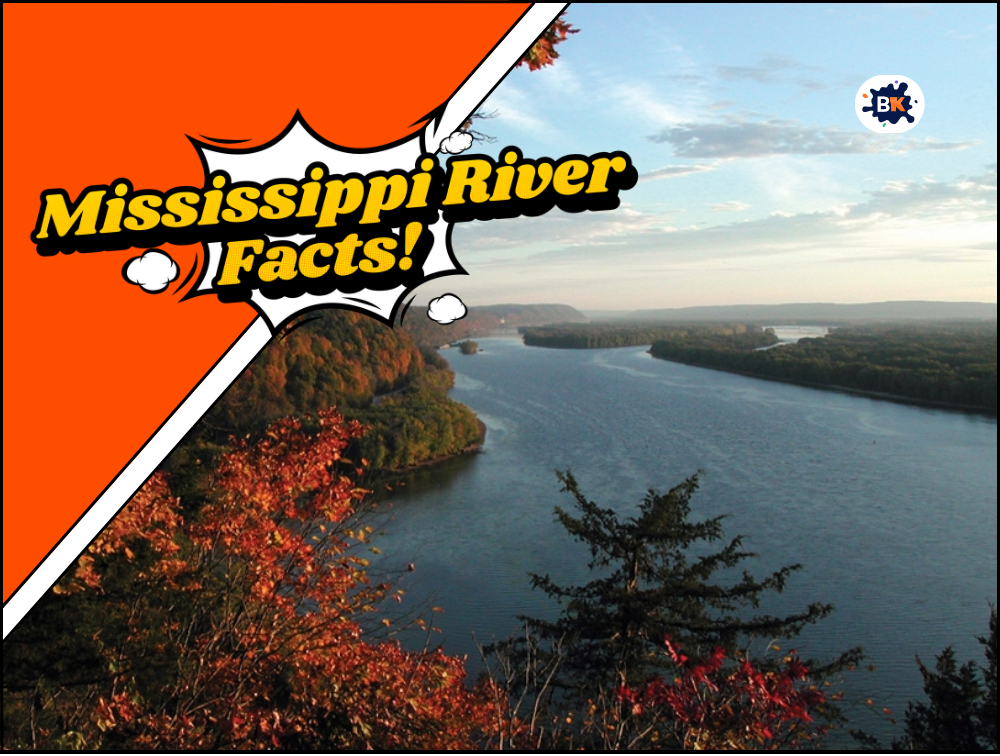 30 Mississippi River Facts You Never Knew Existed Free Printables 7619