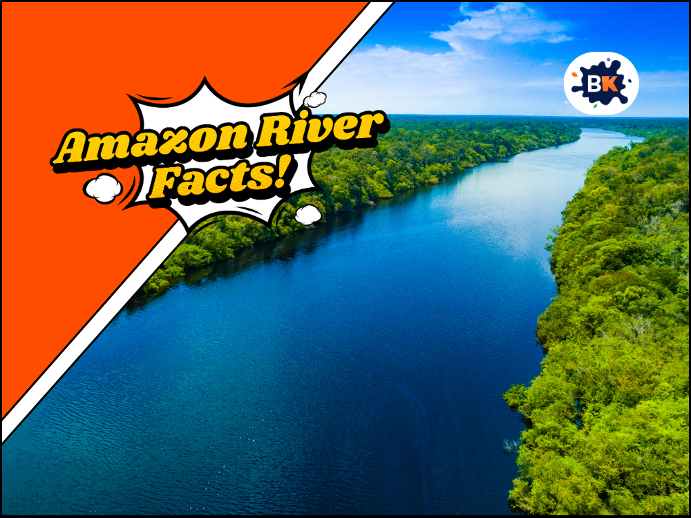 20+ Amazon River Facts: That You Need to Know