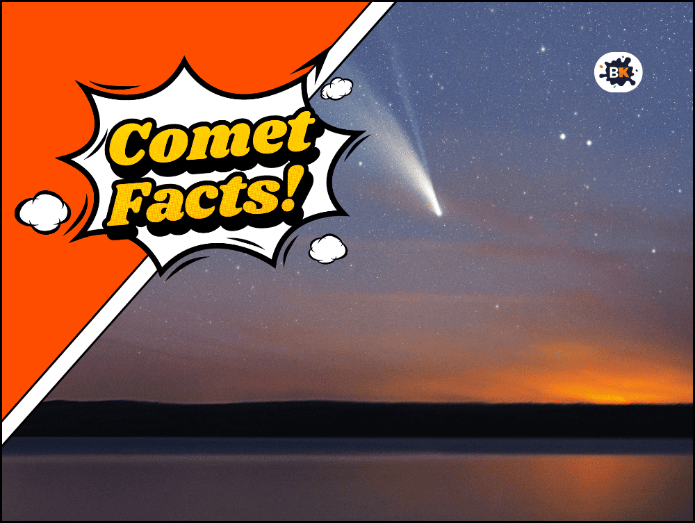 20+ Comet Facts That Will Spark Your Curiosity! (Free Printables)