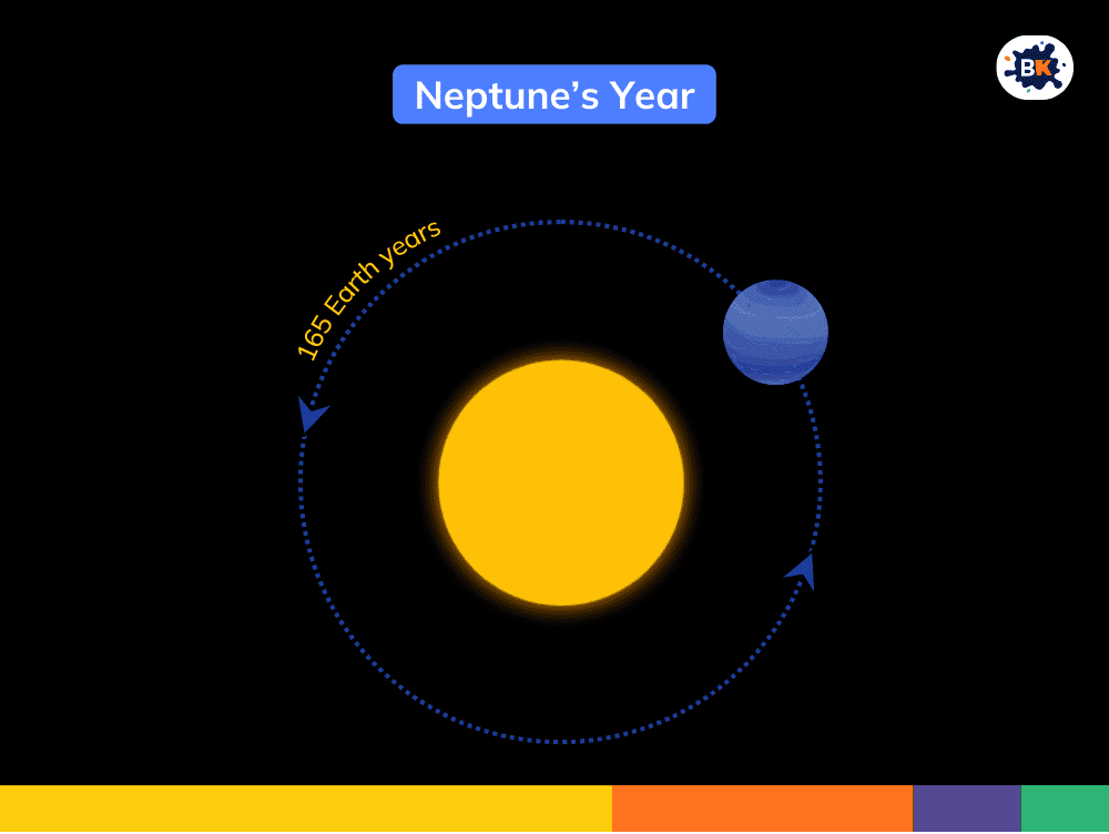 Neptunes Year