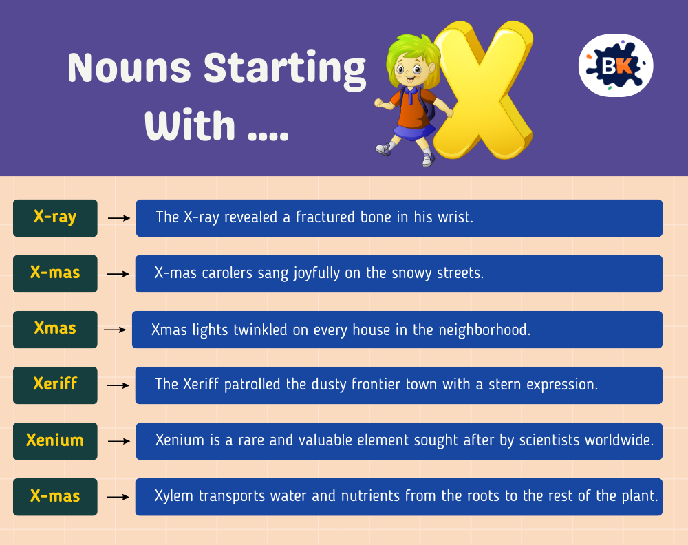Nouns Starting with X