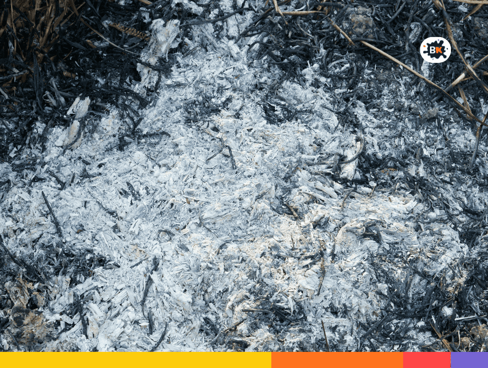 Ashes Gray Thing
