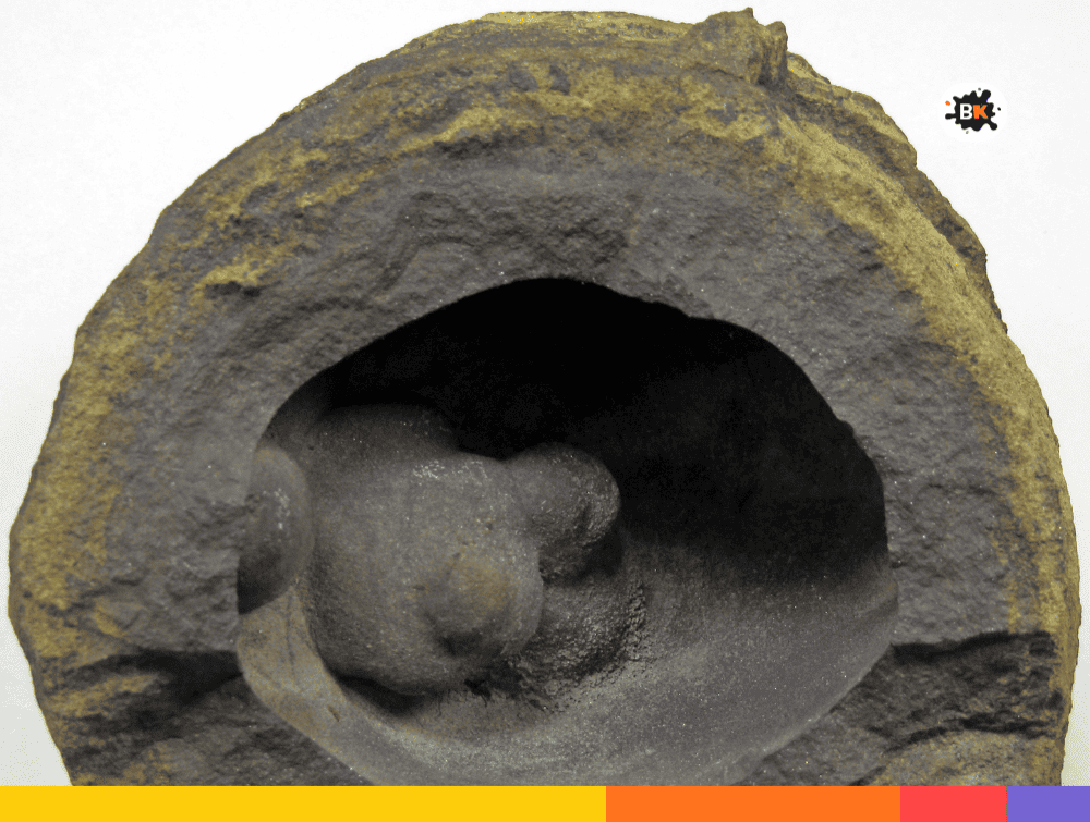 Concretions Gray Thing