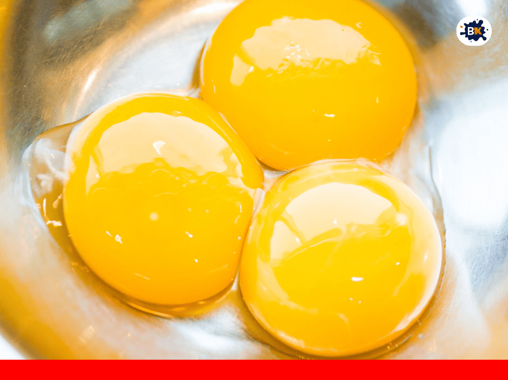 Egg Yolk Golden Thing