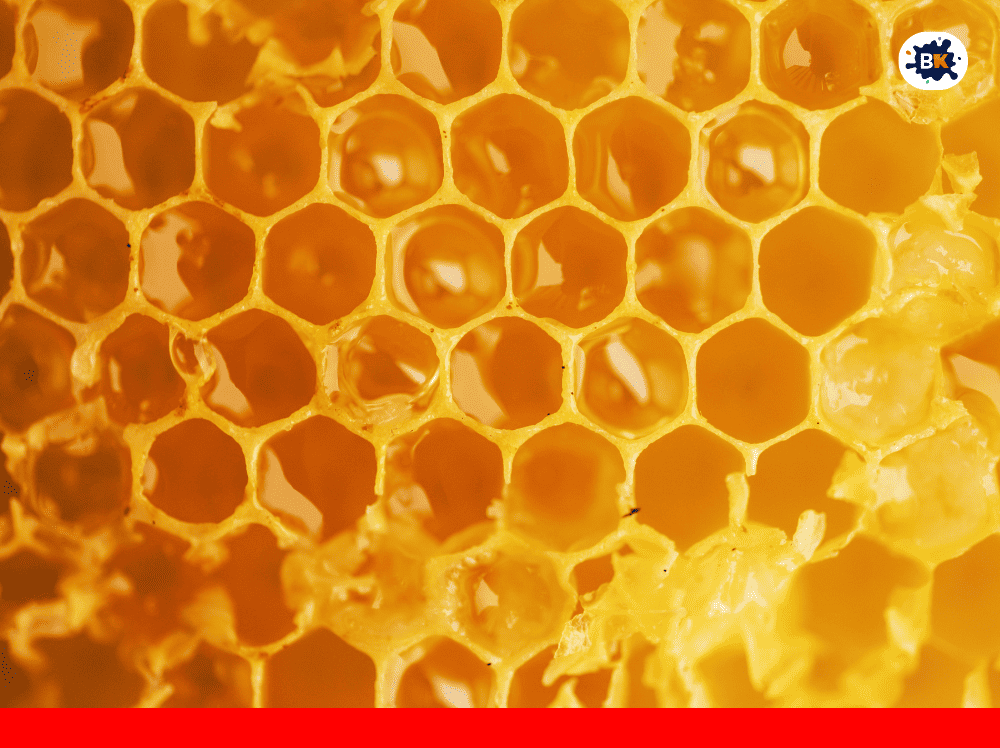 Honeycomb Golden Thing