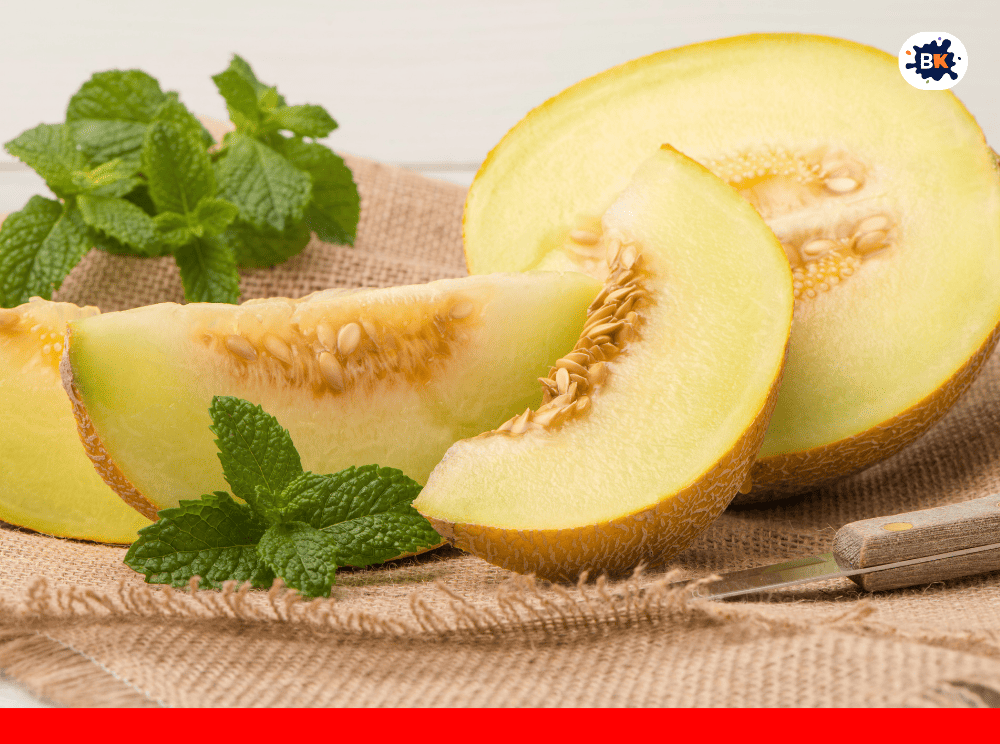 Honeydew Melon Golden Thing