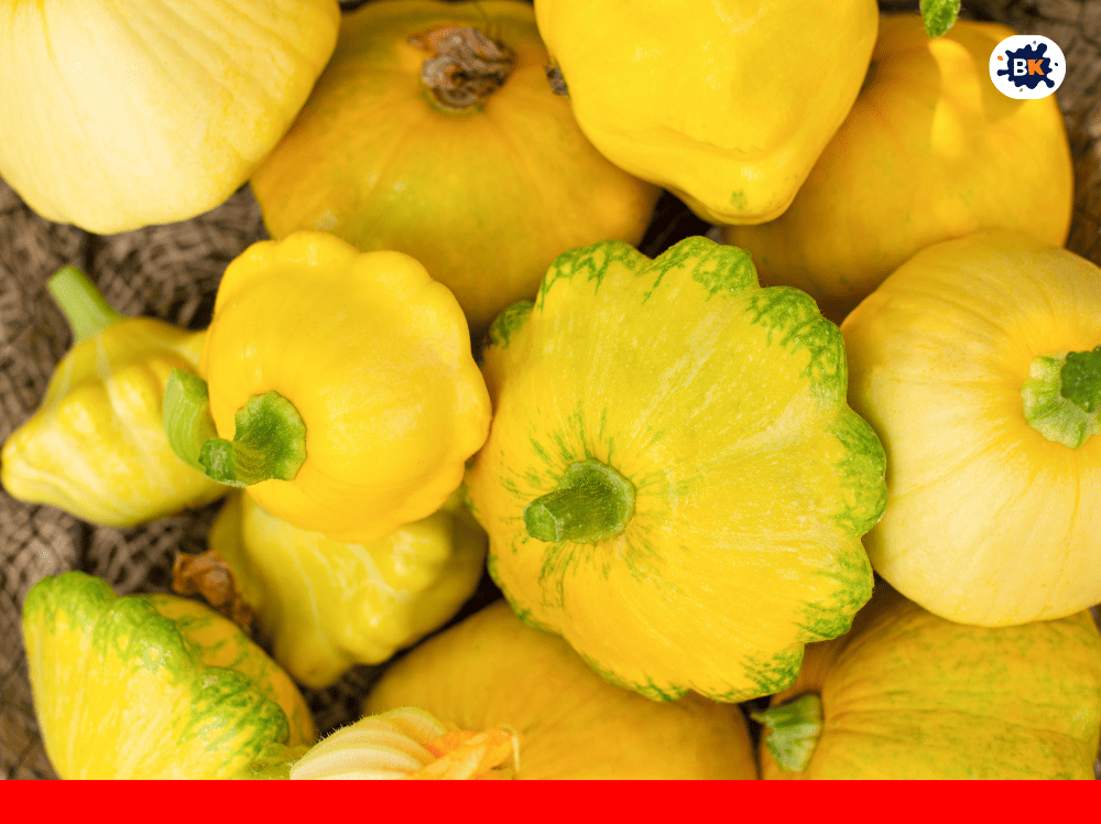 Pattypan squash Golden Thing
