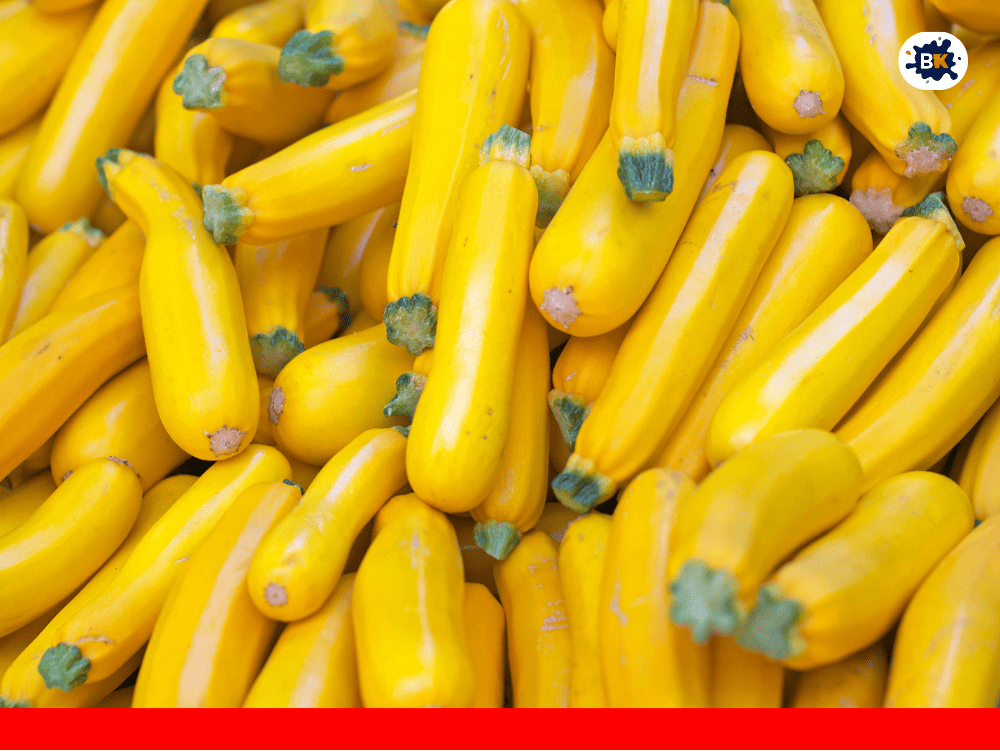 Squash Golden Thing