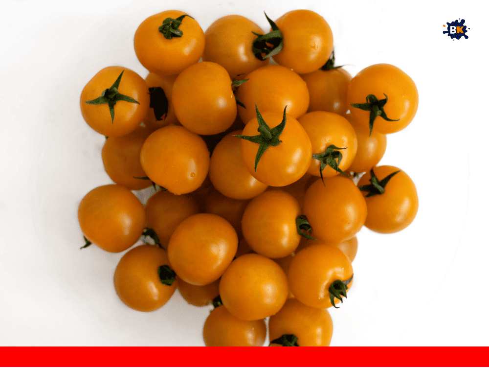Tomato Golden Thing