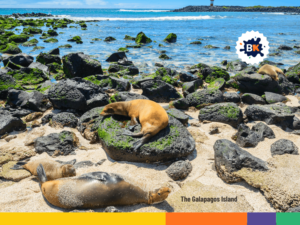 The Galapagos Island The Galapagos Island