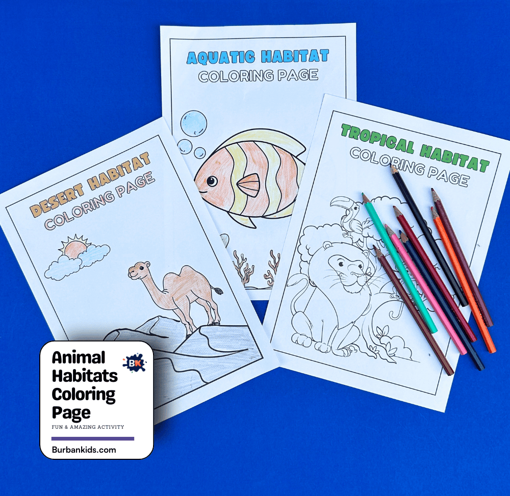 Animal Habitats Coloring Page Activity