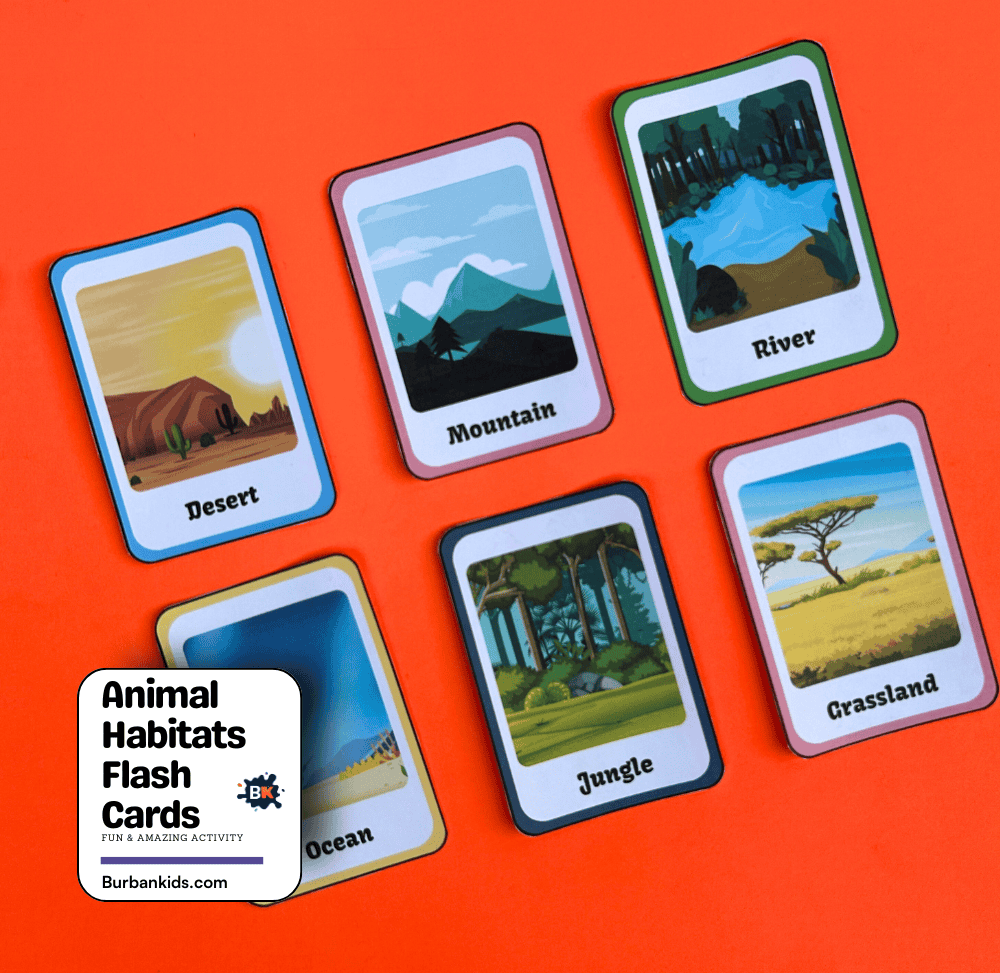 Animal Habitats Flash Cards