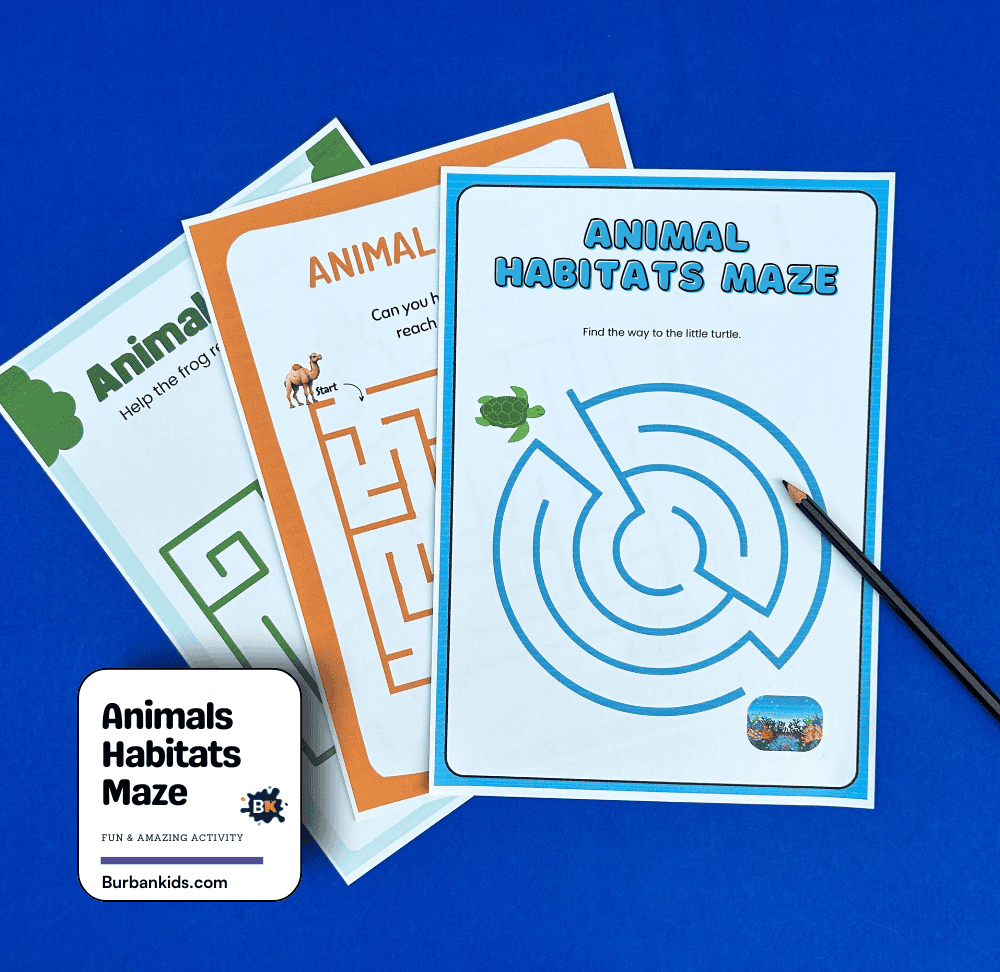 Animals Habitats Maze Activity