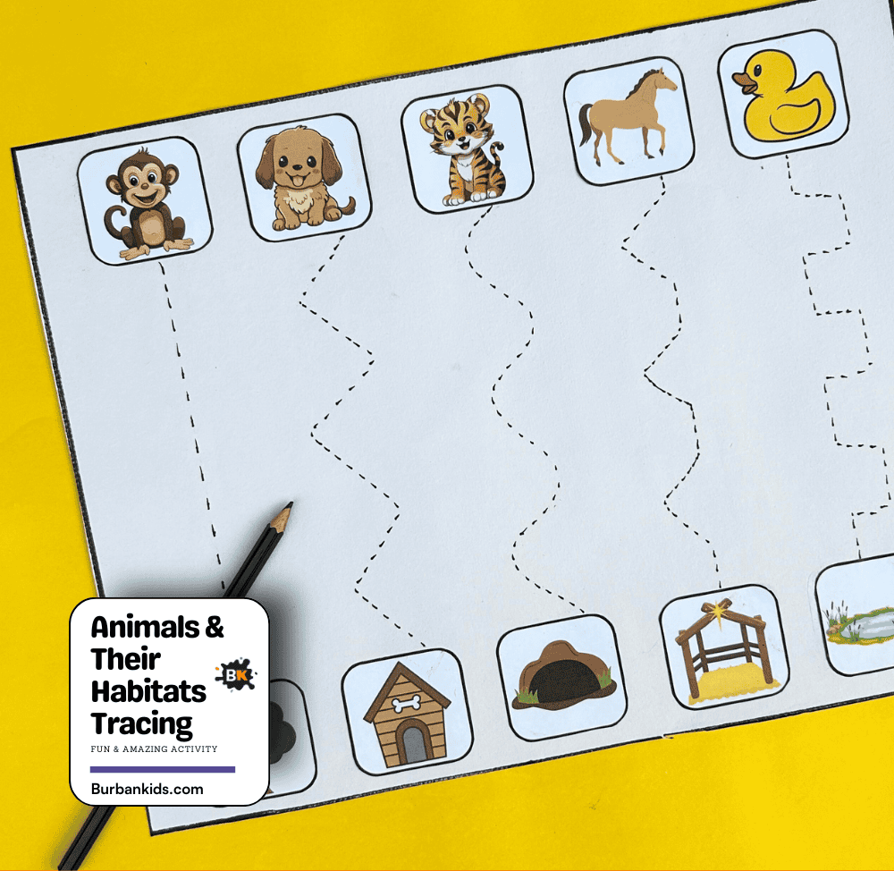Animals & Their Habitats Tracing Activity