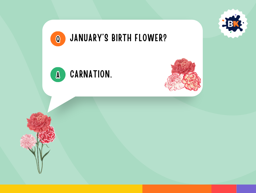 Best January Trivia Questions For Kids