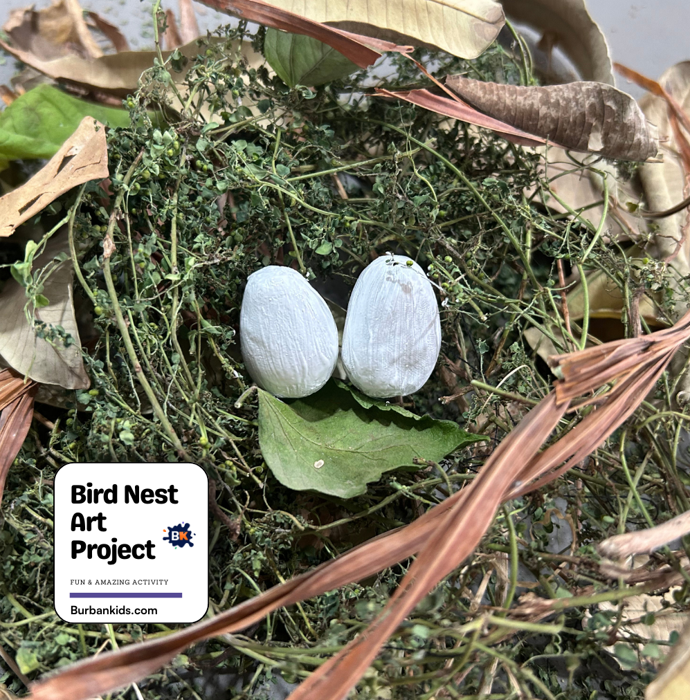 Bird Nest Art Project Bird Nest Art Project